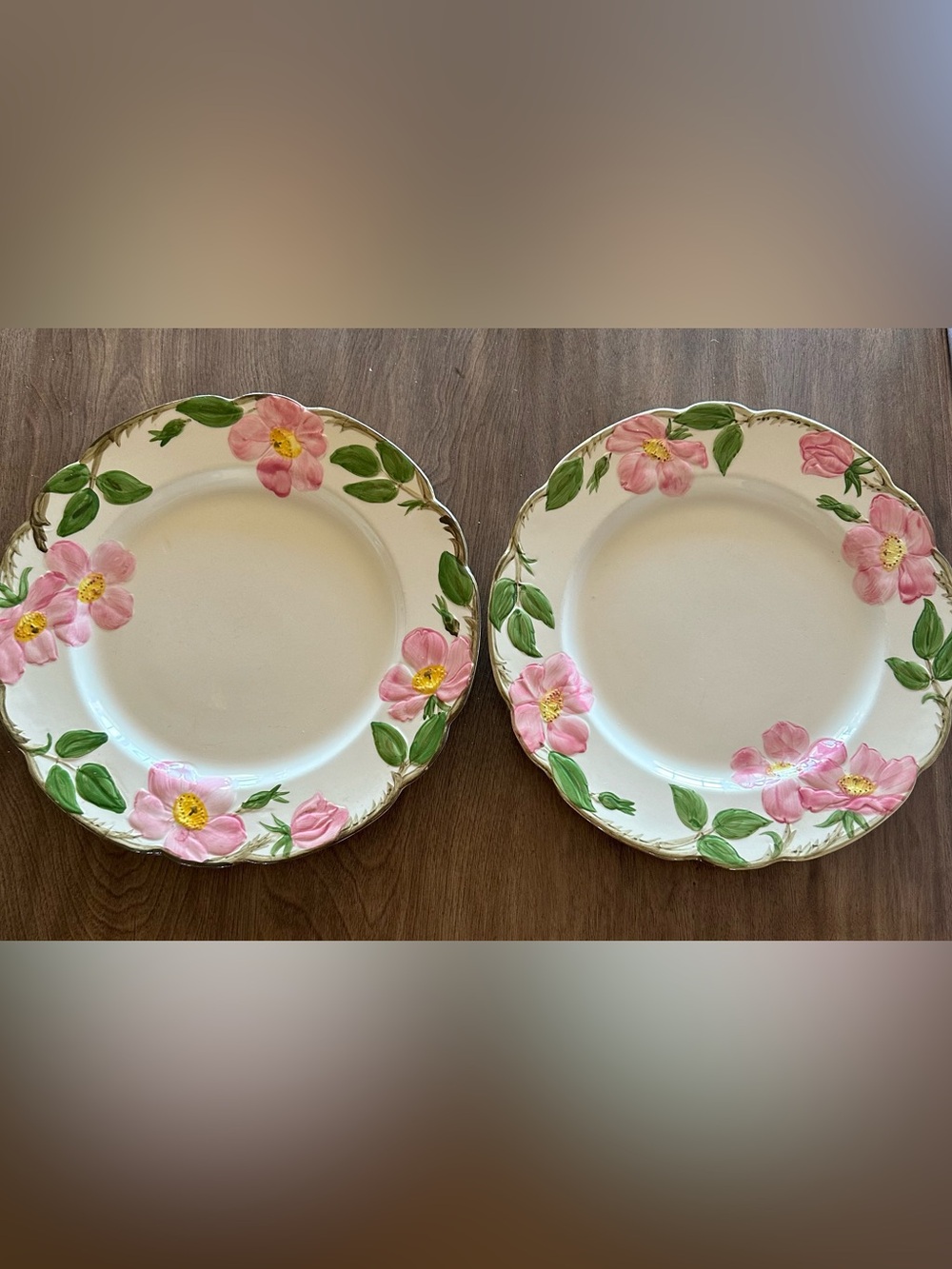 Franciscan Desert Rose Dinner Plates Set of 2 Vintage 10.5”